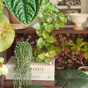 Book Shape Decorative Cable Management Box